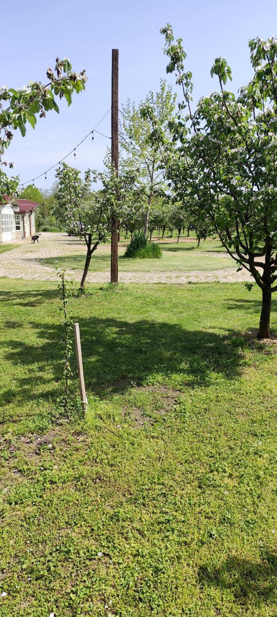 Salas Farma 47-Miris Dunja Cenej Екстериор снимка